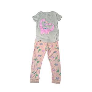 Wonder Nation-Pink Dinosaur Pajamas-Size 5T-Pink Dino Top-Multicolor Dino Bottom
